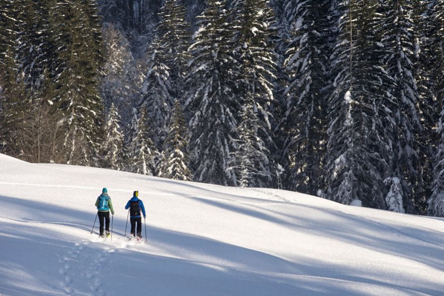 Schneeschuhwandern 1