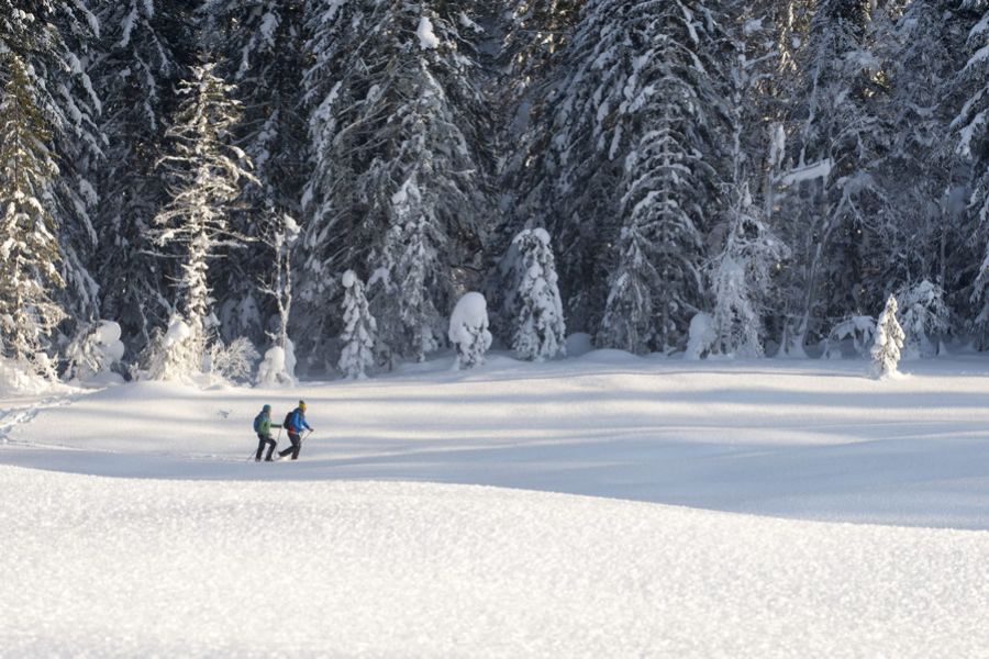 Schneeschuhwandern 2